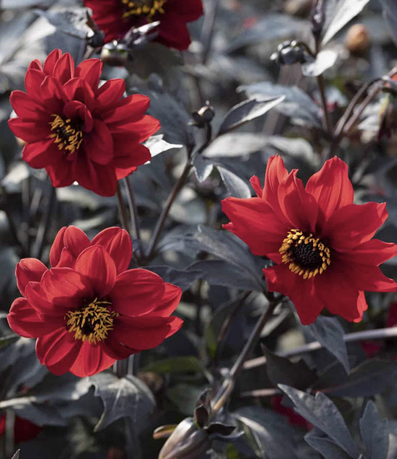 Screenshot 2026-03-24 at 9.42.01 PM.png