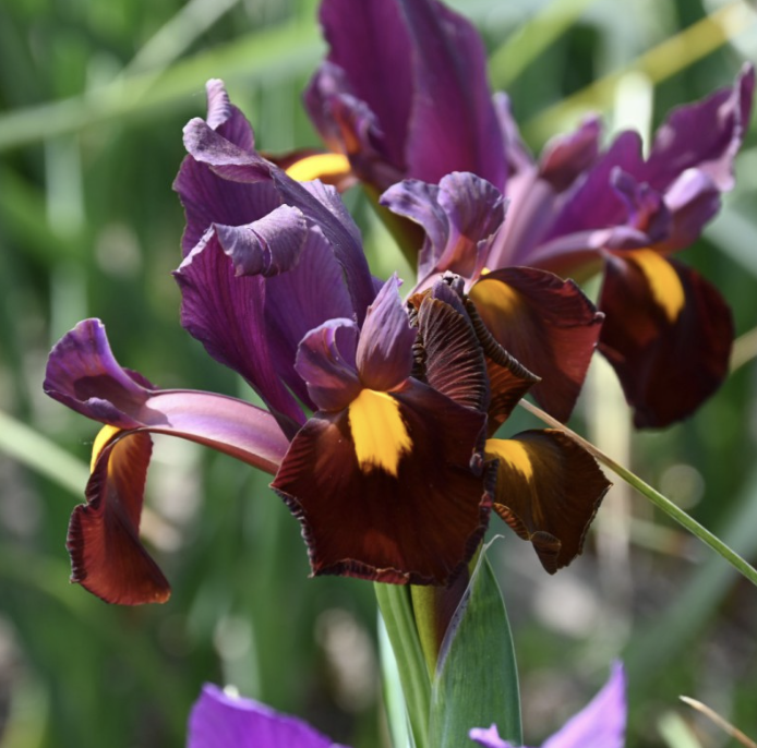 Screenshot 2025-11-01 at 4.11.56 PM.png