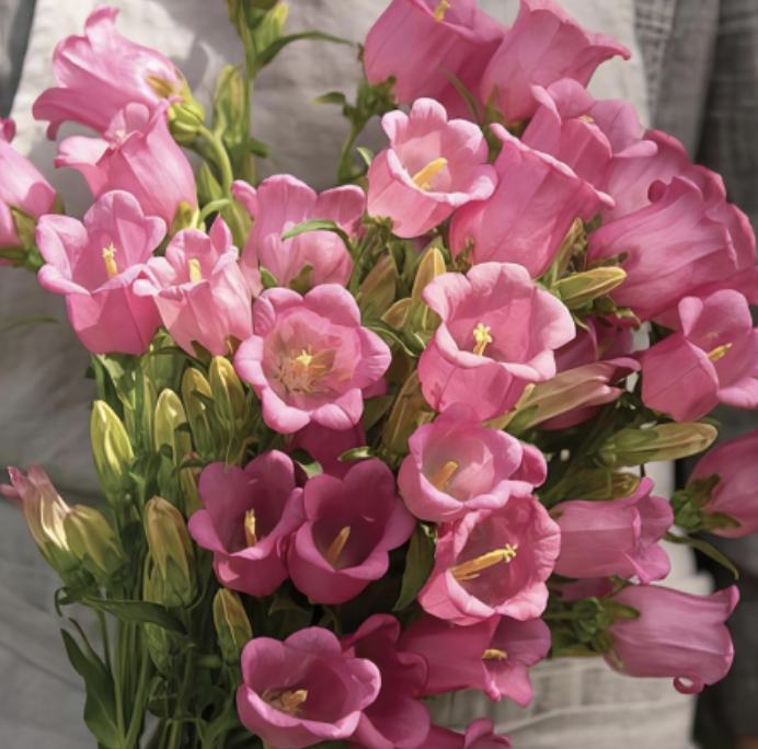 Screenshot 2025-11-01 at 3.51.51 PM.png