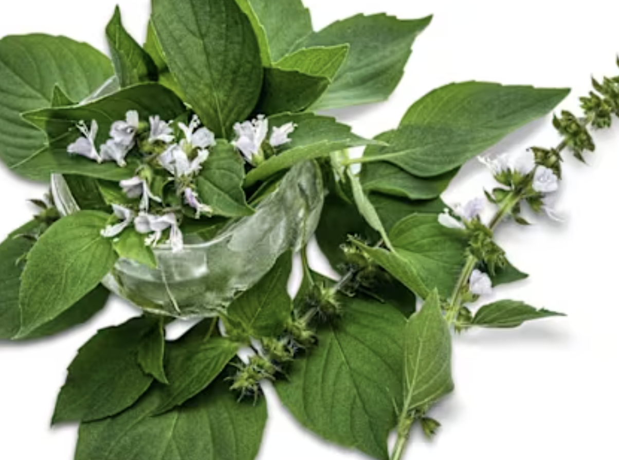 Screenshot 2026-03-24 at 9.48.01 PM.png