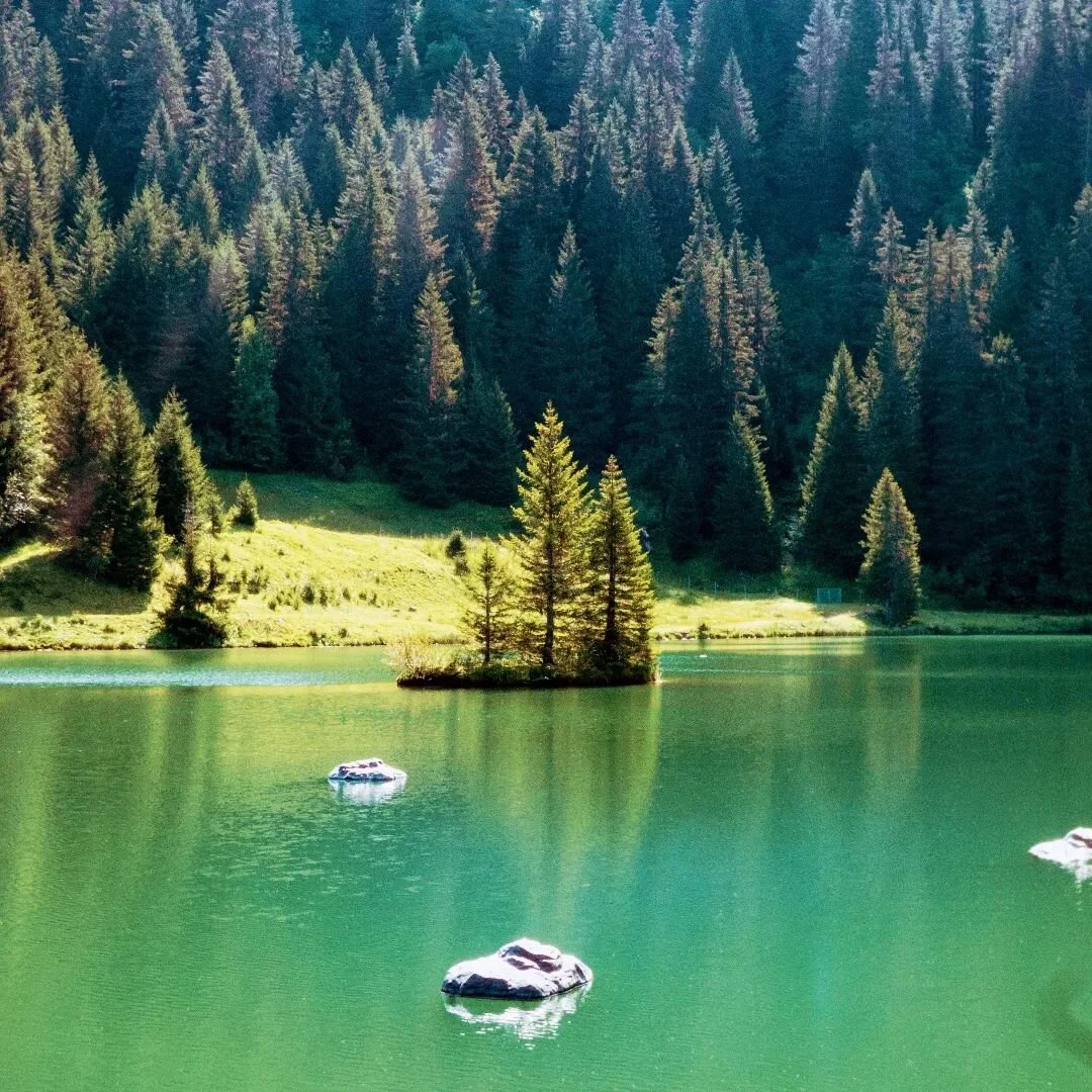 Ce petit air de Canada Français ⛰️
📍Lac de la Mouille -  Chatel 
¤
#chatel #portesdusoleil #morzine #france #mountains #hautesavoie #lesgets #montagne #lesportesdusoleil #alpes #alps #photooftheday #frenchalps #love