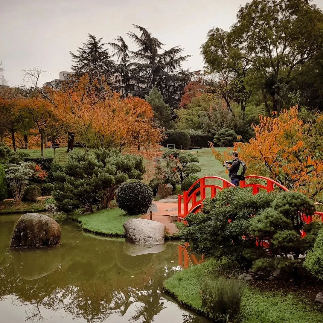 Still looking good in every season ! 
📍Jardin japonais 
¤
#jardinjaponais #japanesegarden #nature #japan #garden #jardin #jardinjapones #japanischergarten #japanesegardens #jardimjapones #toulouse #photography #landscape #travel #naturepho