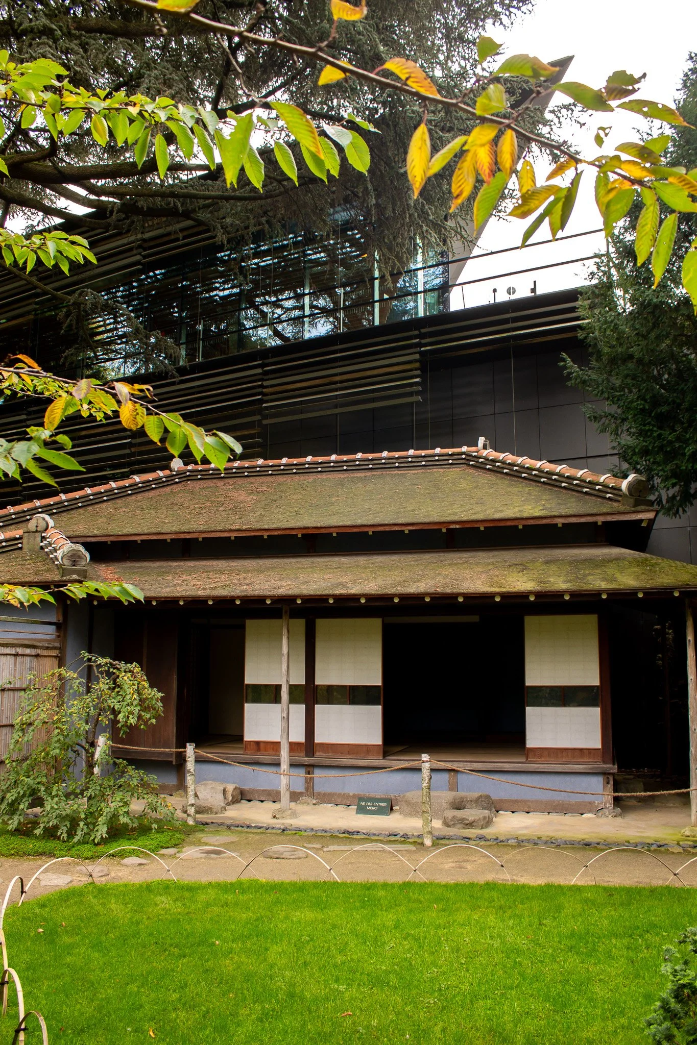 jardin japonais parisien