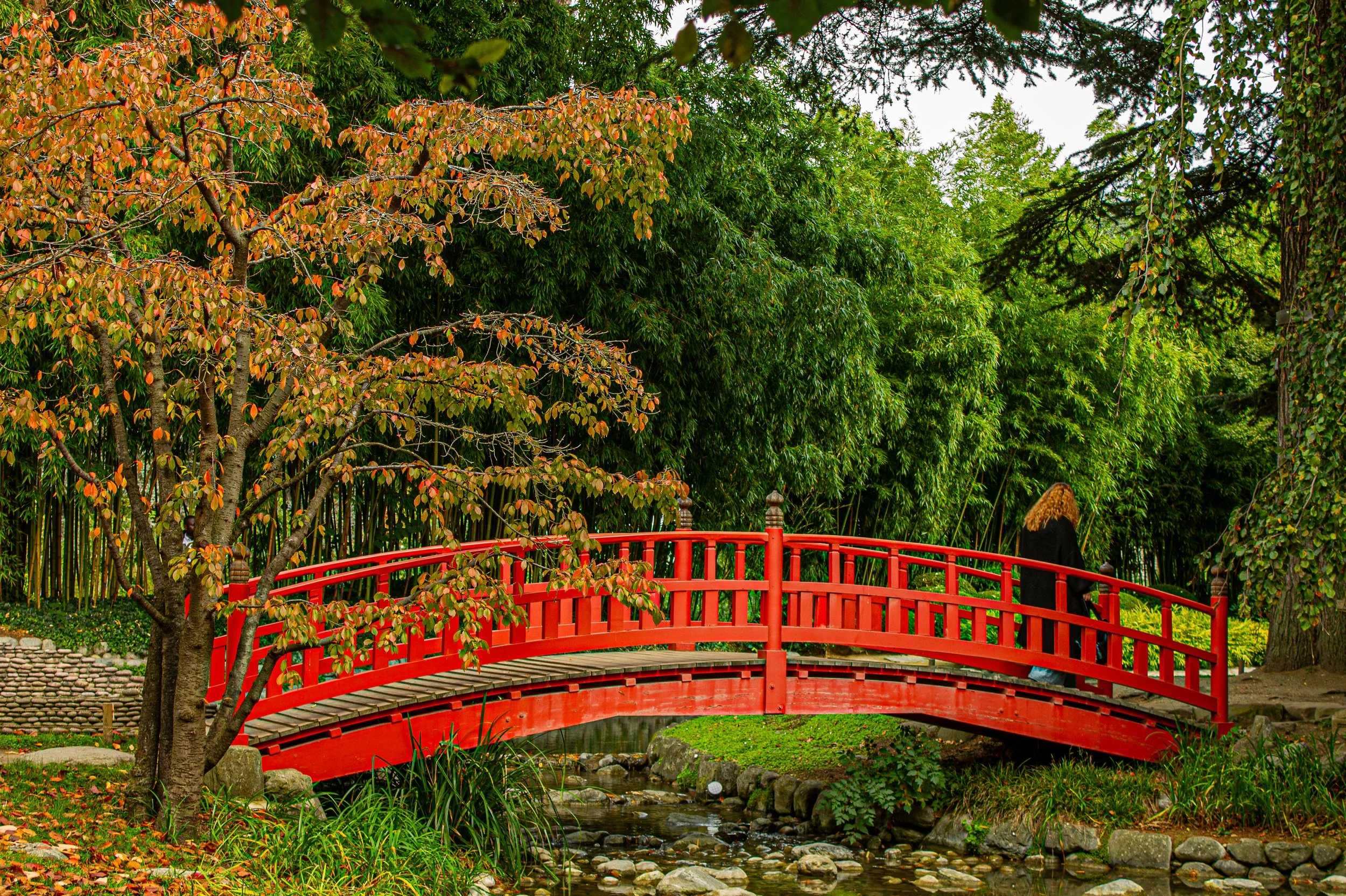 jardin japonais à paris