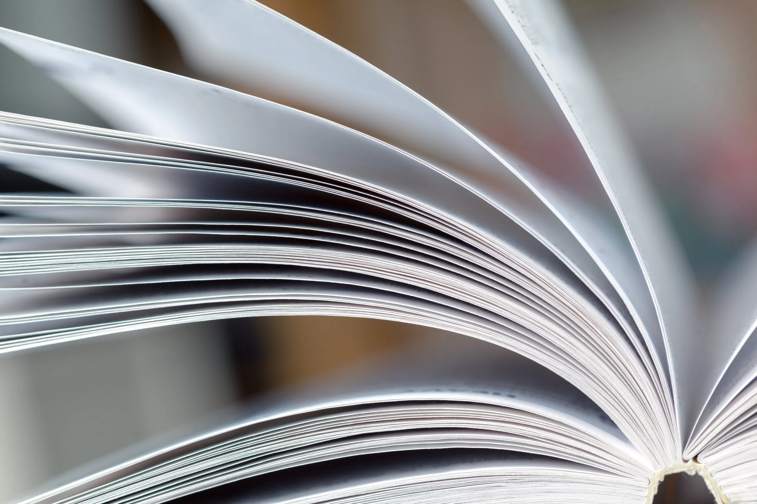 Dettaglio di pagine di un libro aperto con le pagine che si curvano verso l'alto.