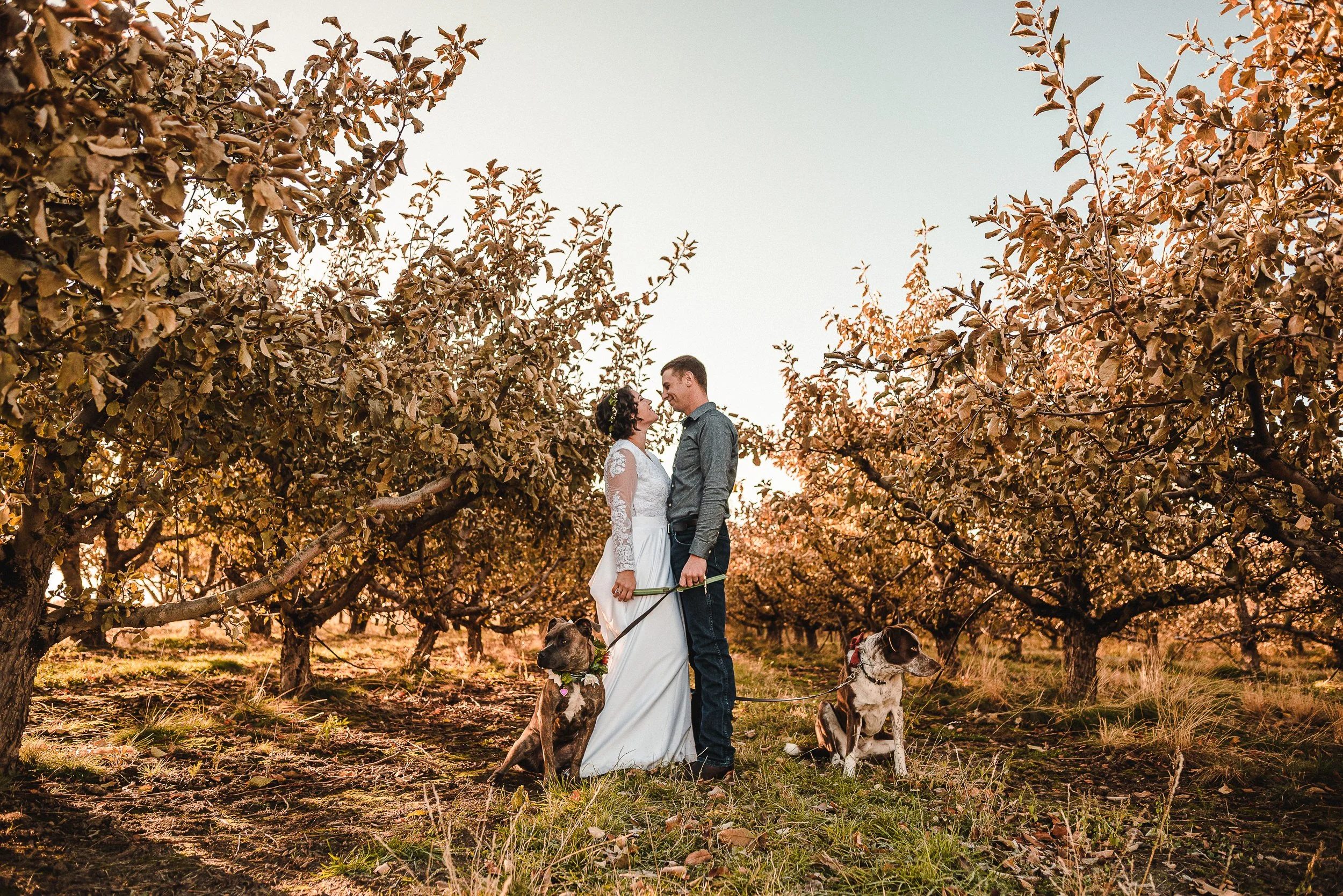 Answering All Your Elopement Questions
