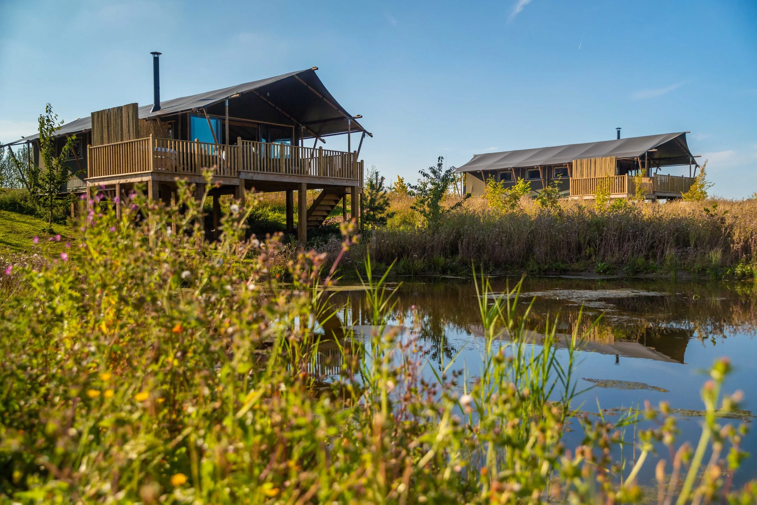 Birdholme Glamping Site Case Study Clear Sky Clear Sky