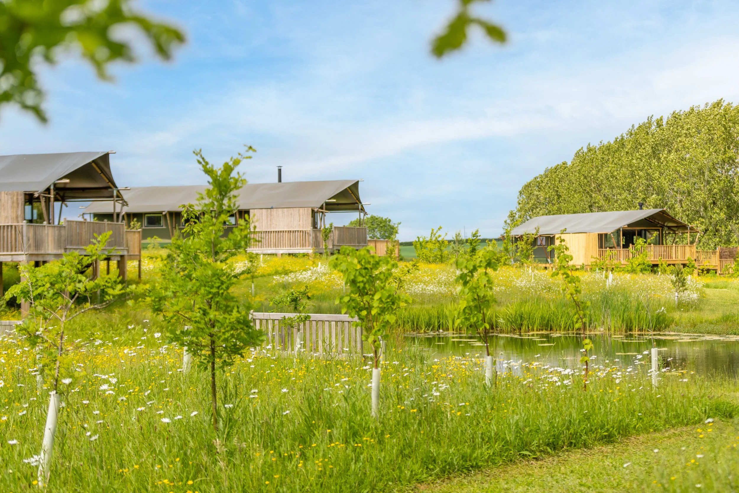 Birdholme Glamping Site Case Study Clear Sky Clear Sky