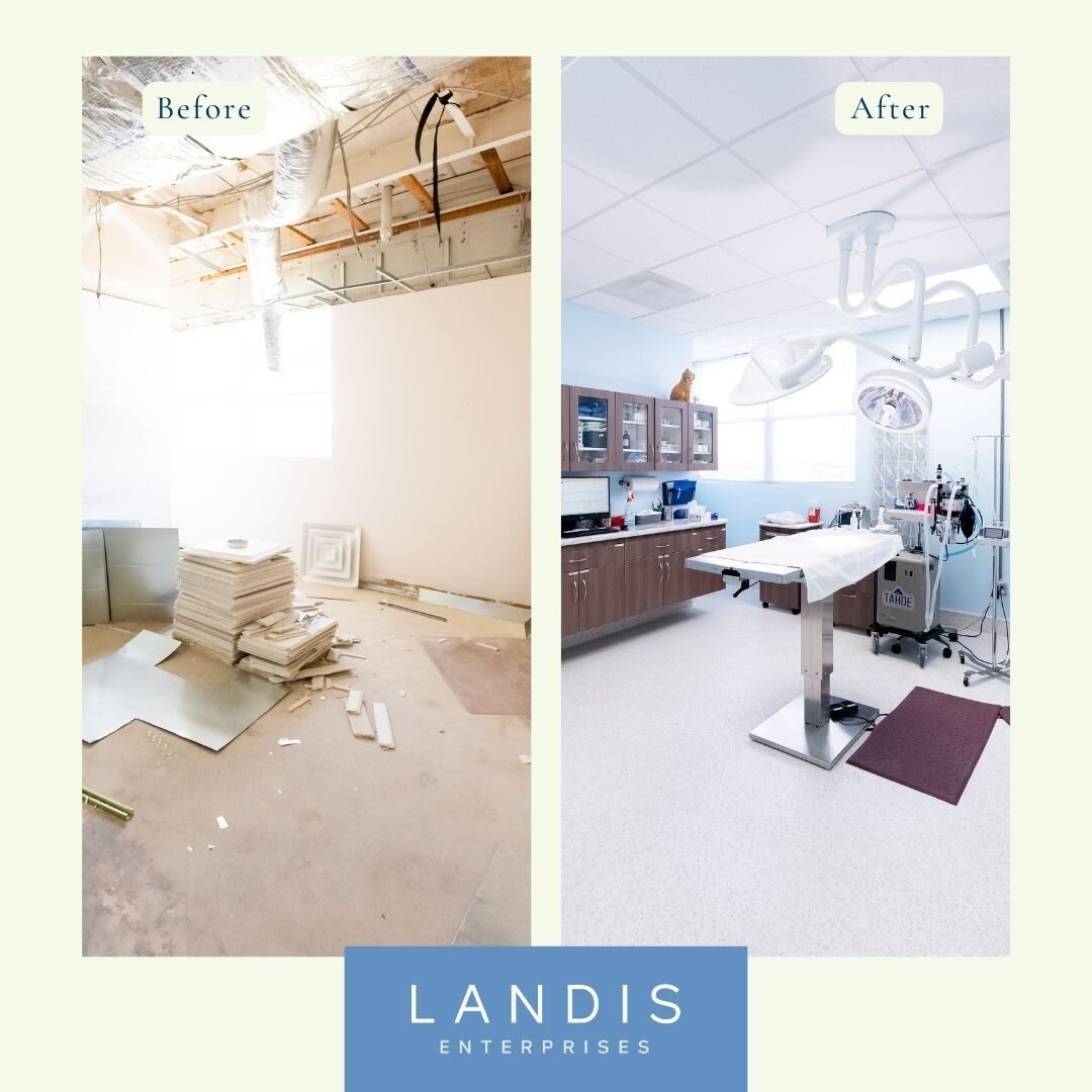 🎨 🔨 Boutique Approach to Commercial Renovation

Landis Enterprises is the premier class A Virginia Contractor choice for clients in Northern Virginia seeking a boutique approach to commercial renovation. Here's why you should trust us with your nex
