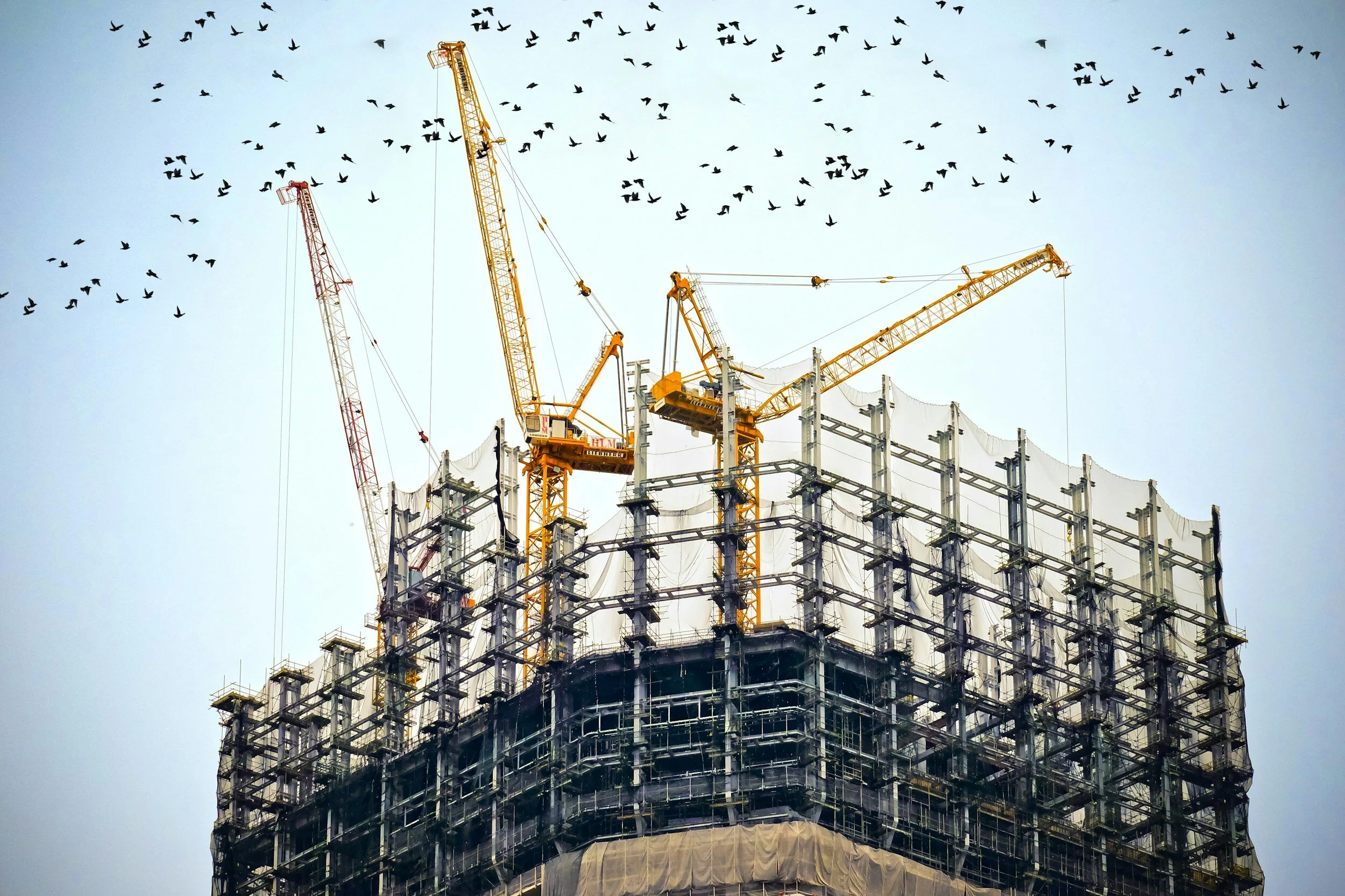 Different Types of Construction Projects and Their Differences — Landis ...