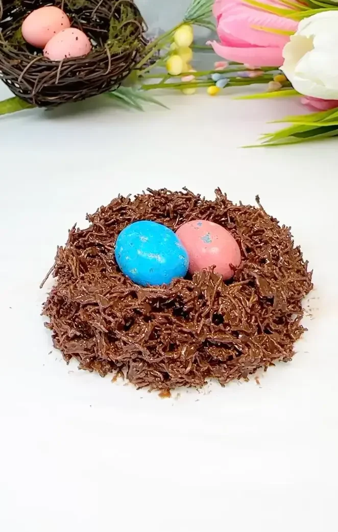 Robin Egg Nests