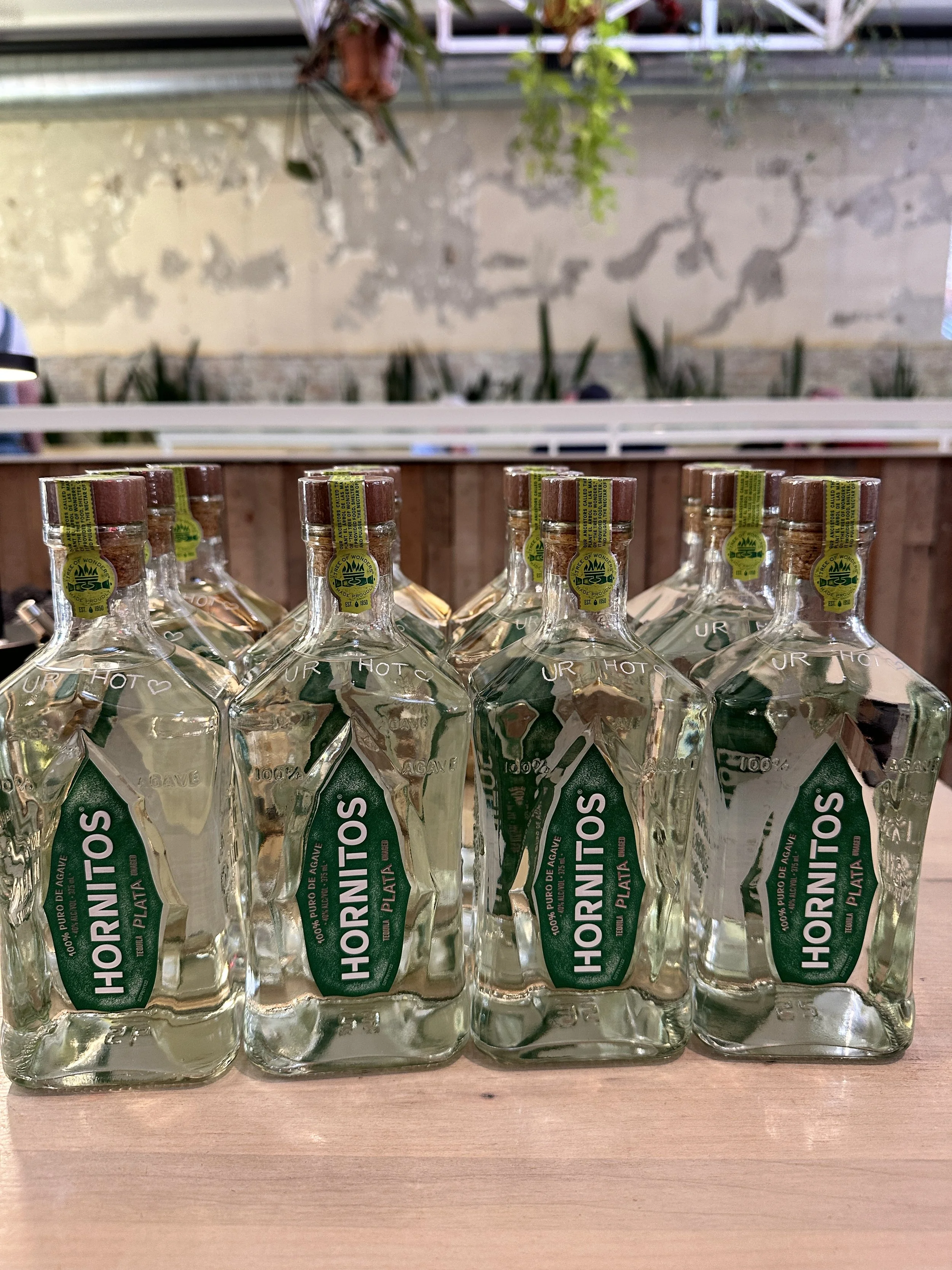 Row of ten clear glass bottles of Hornitos Plata tequila with green labels and brown cork stoppers on a wooden surface.