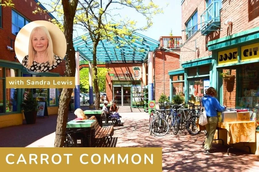 A lively outdoor shopping mall with brick buildings, storefronts, outdoor seating, and bicycles. A woman is browsing a street vendor's table while others sit at benches under trees on a sunny day.