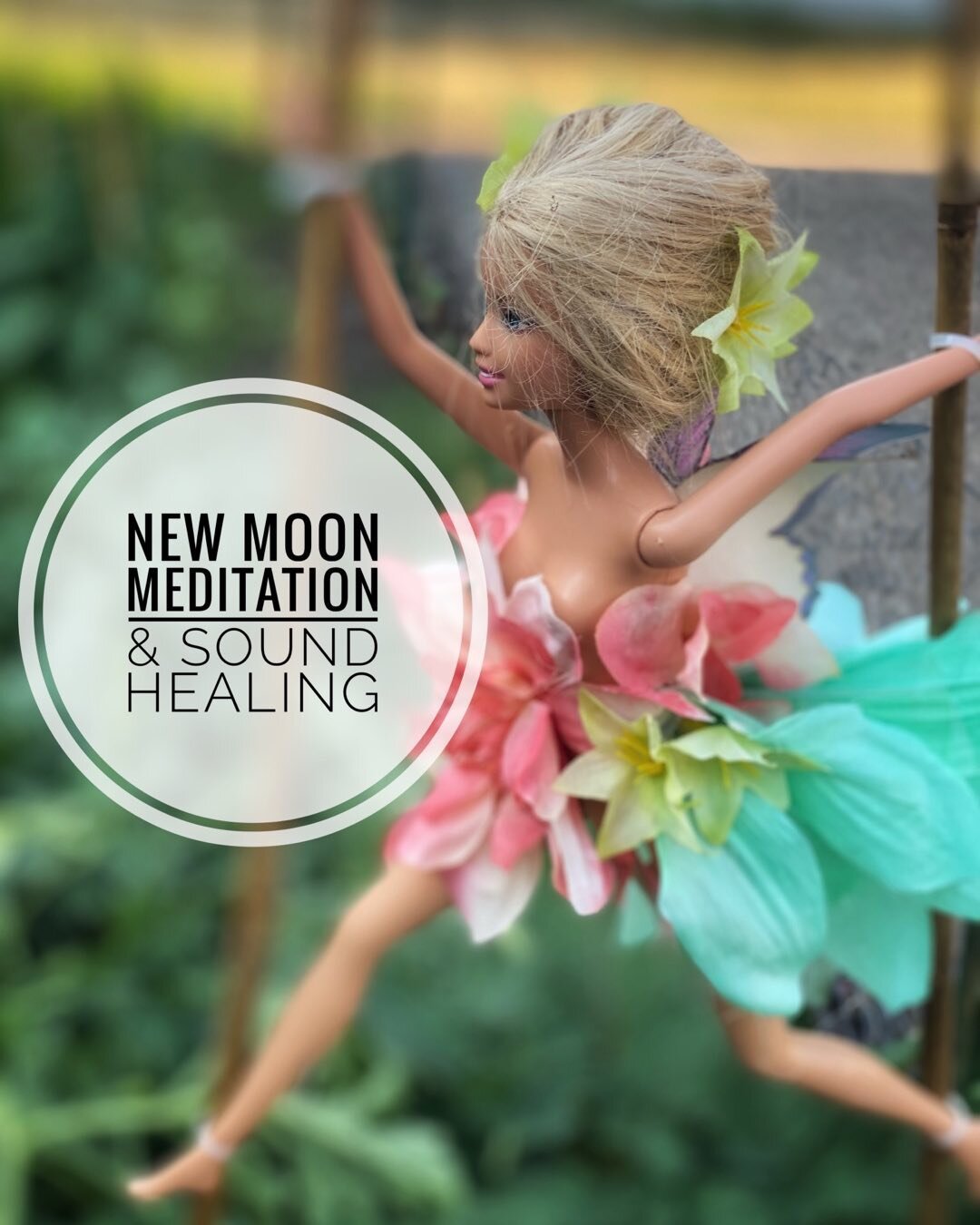 Join me on Thursday, July 28th at 7:30pm central for a New Moon Zoom event!
Astrology- guided meditation - sound healing - $35 pp

Register in BIO! 

#energyhealingcoach #energyshifts #spiritualteachers #distanthealing #spiritualwarriors #spiritually