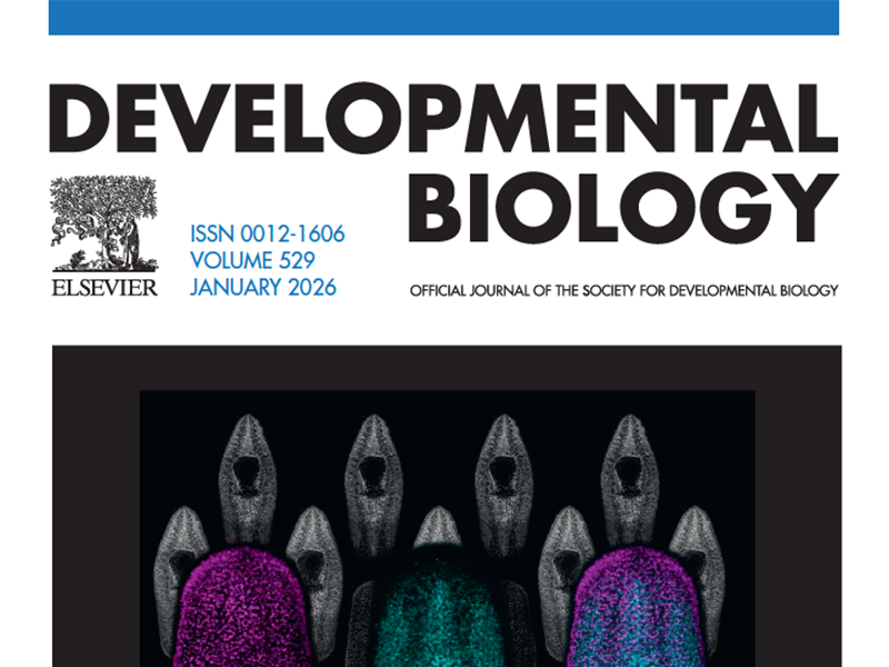 The challenge of teaching K-12 genetic principles