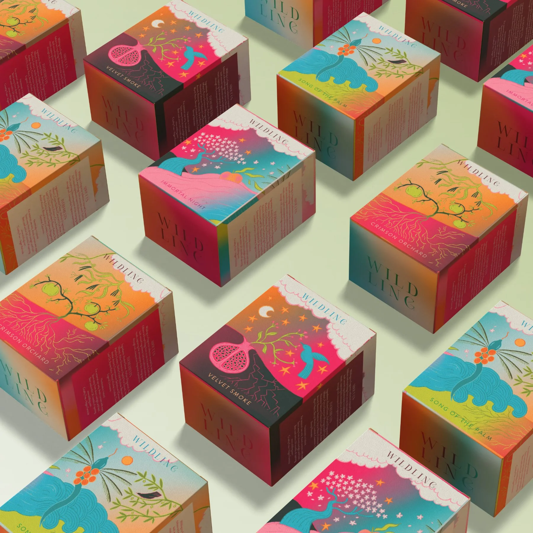 CaitieBethDesign-WildingPackaging-All.jpg