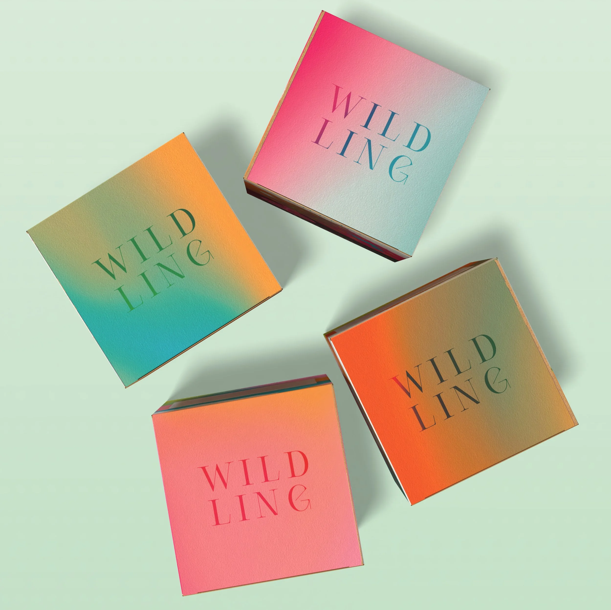 CaitieBethDesign-WildingPackaging-AllTop.jpg