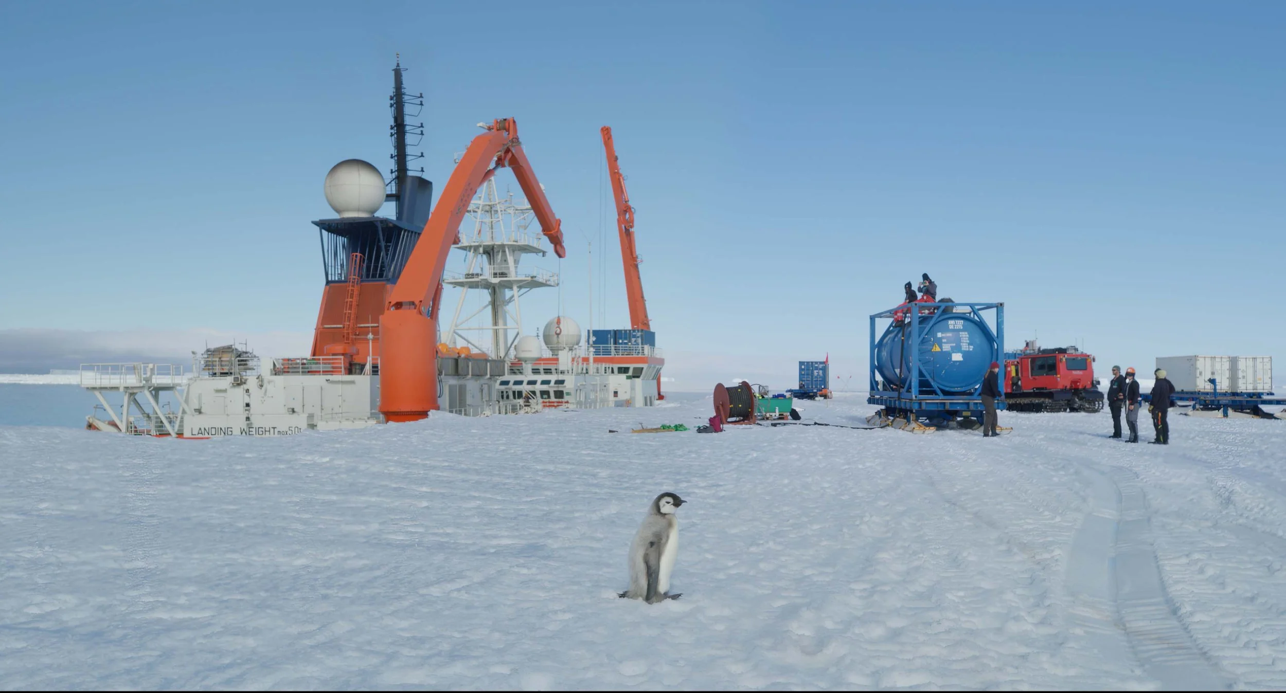 MELT_Still 02_Courtesy Icarus Films.jpg