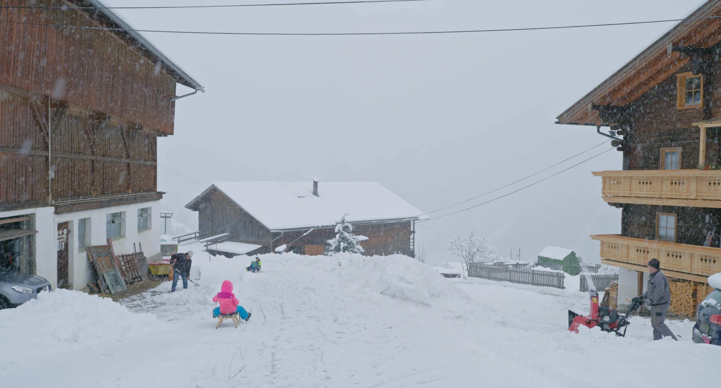 MELT_Still 11_Courtesy Icarus Films.jpg