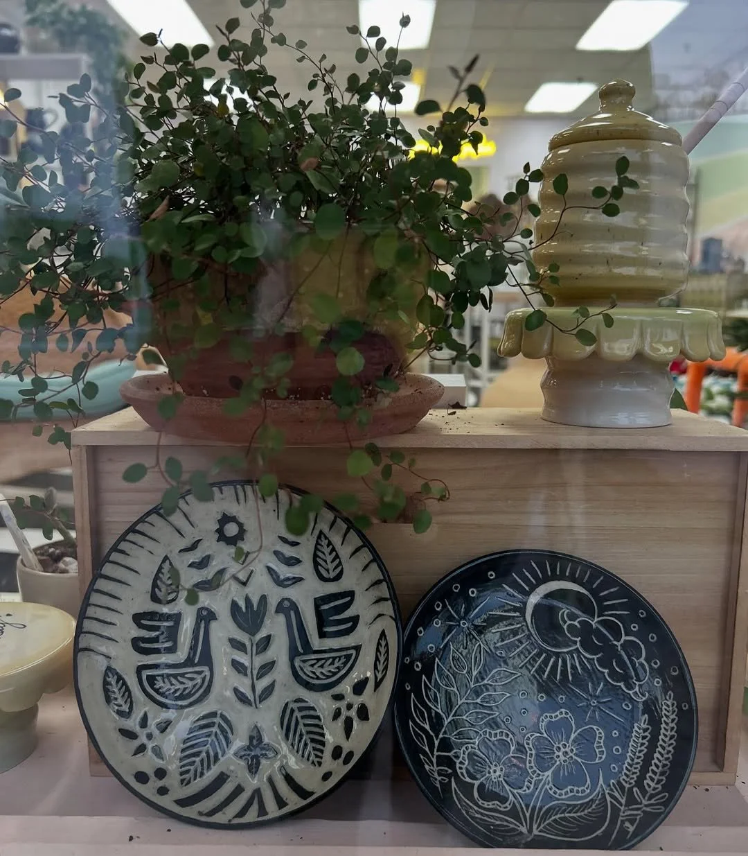 Pottery and classes | Sunshine Ceramics
