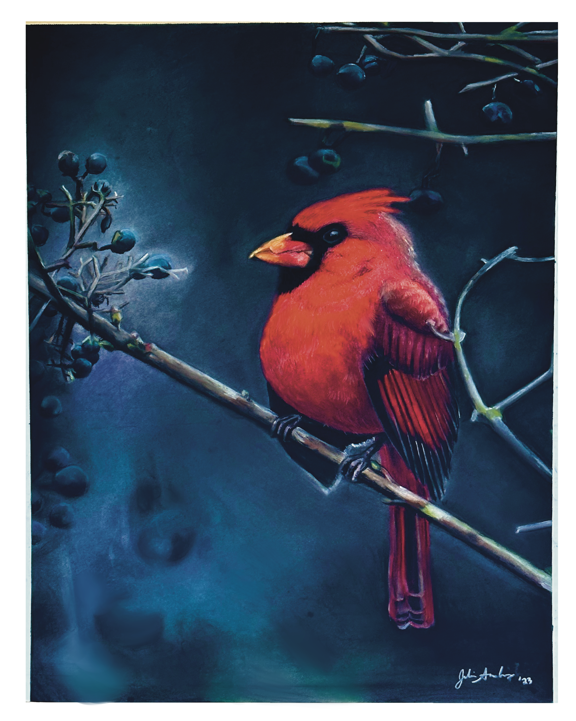 Cardi The Bird Print