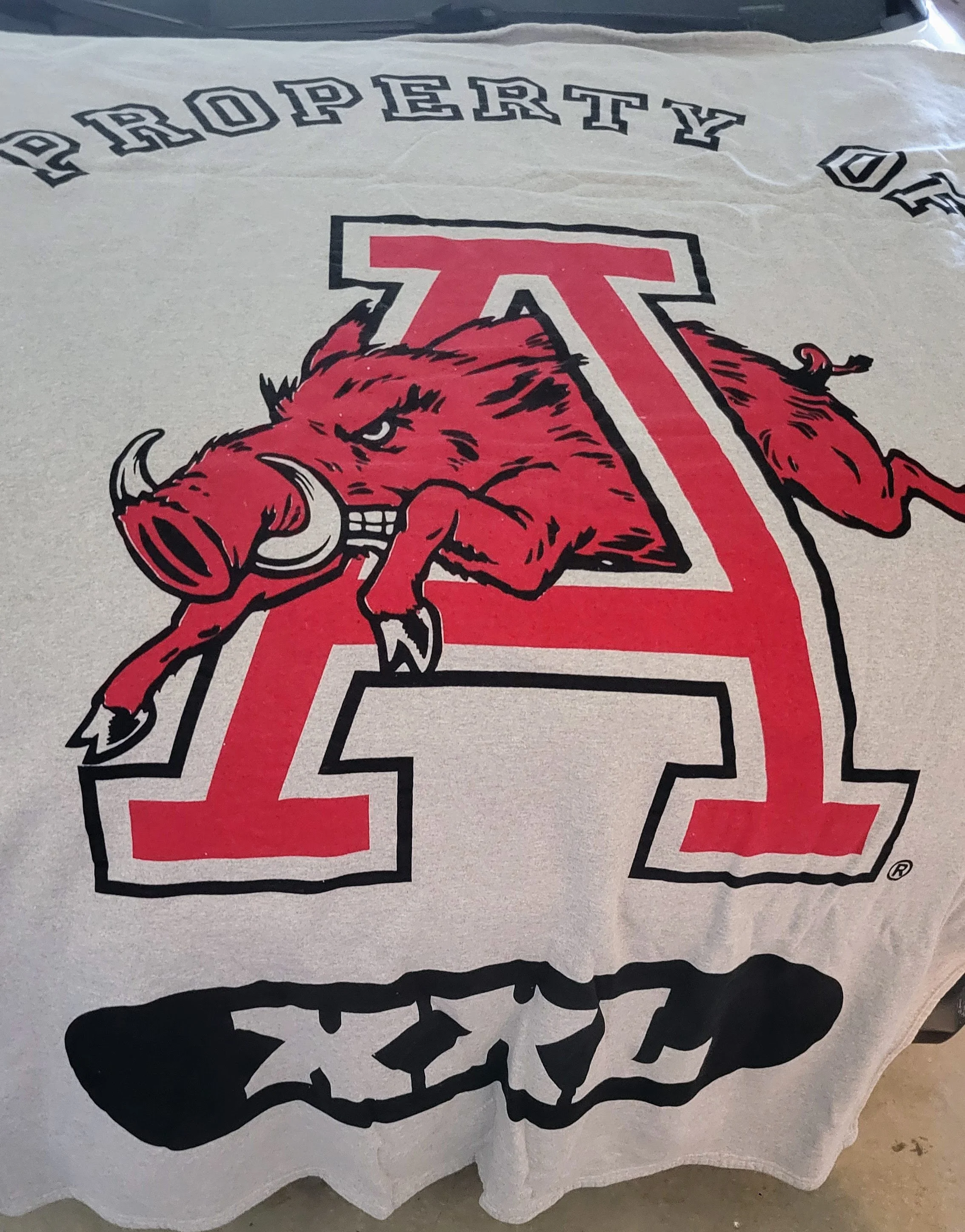 20260601_171827.jpg