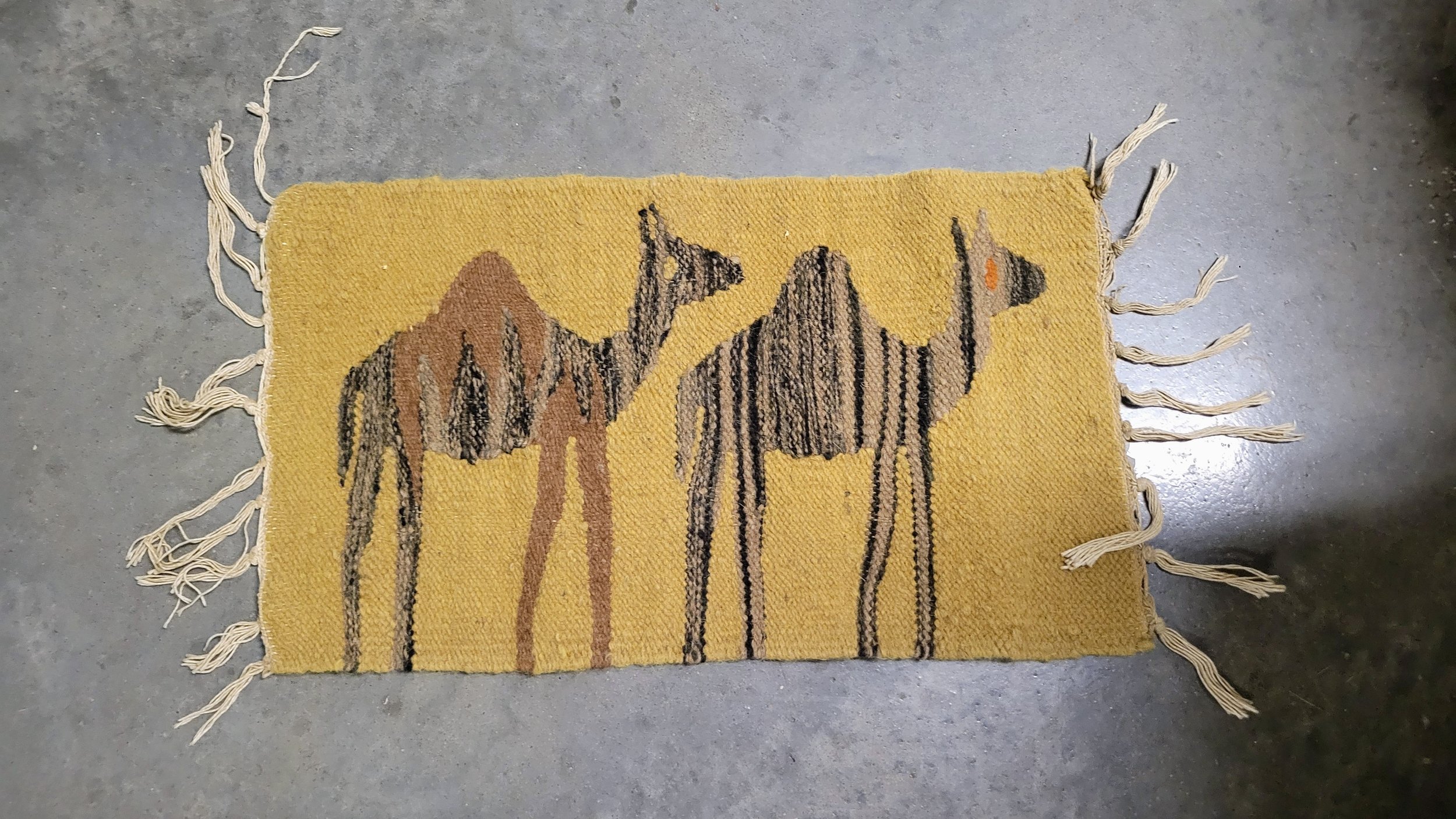 20260801_210546.jpg