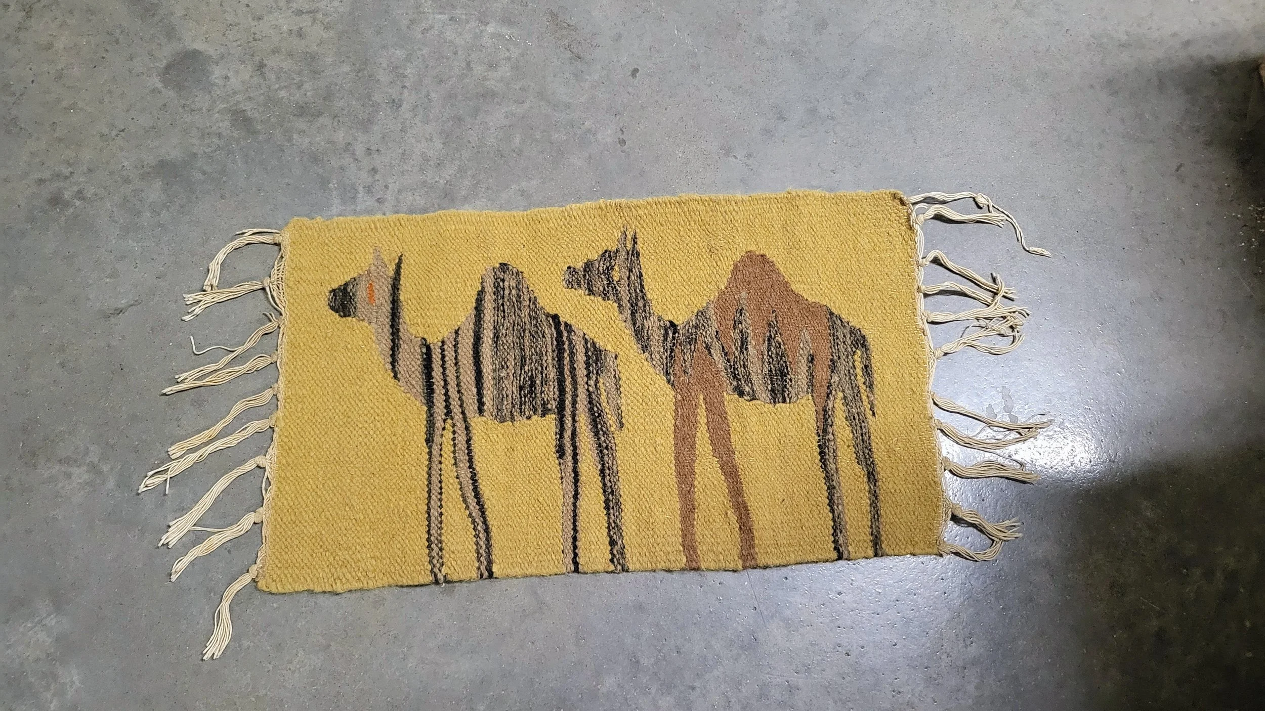 20260801_210608.jpg