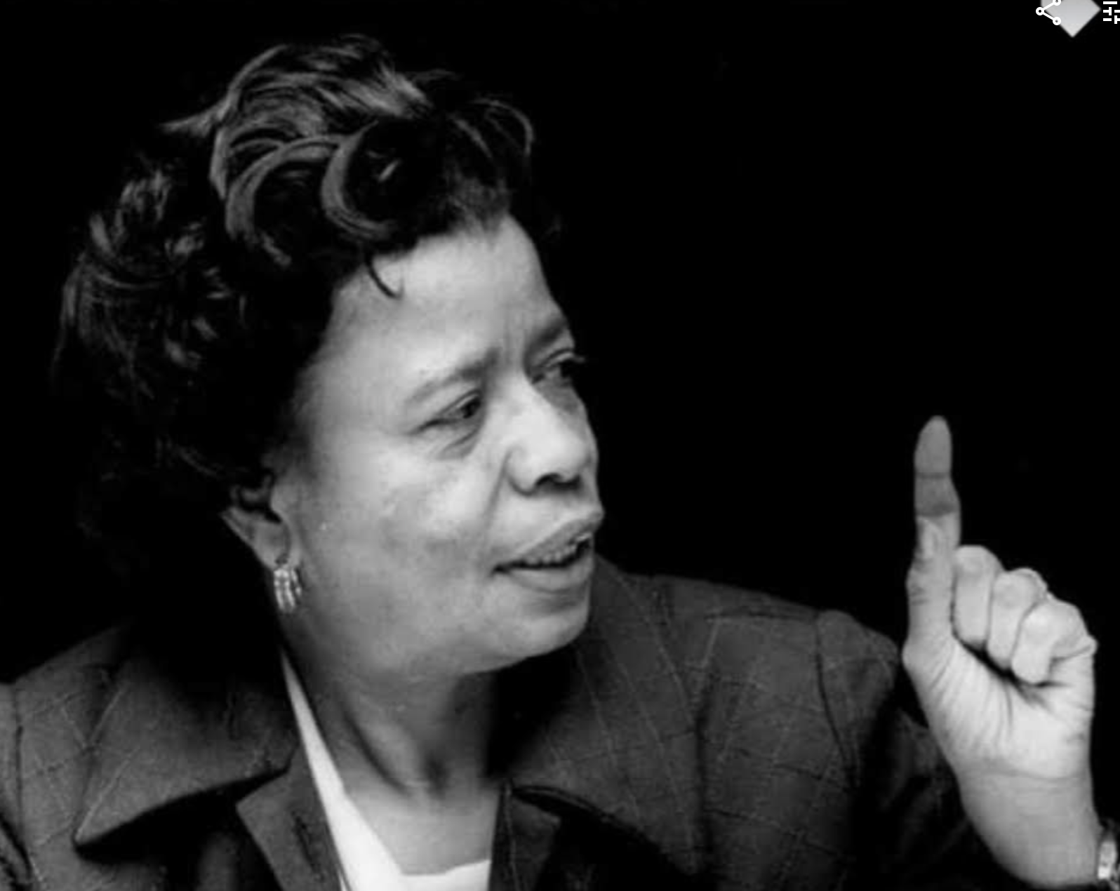 Screen Shot 2022-08-07 at 8.24.37 PM.png