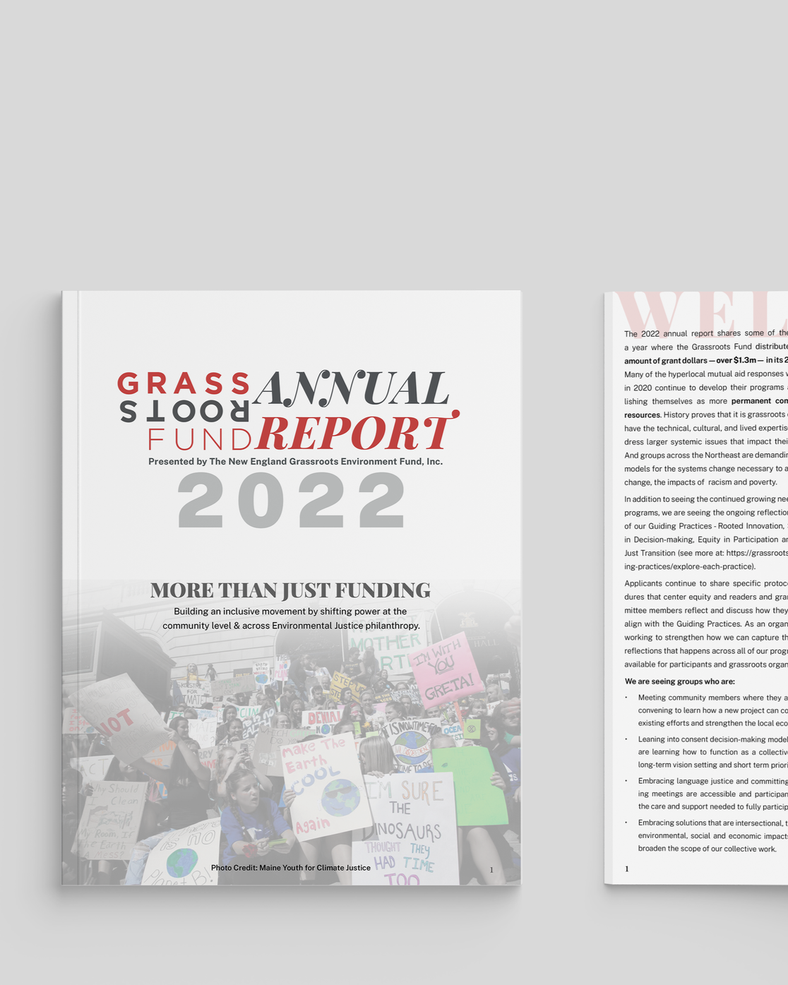 New England  Grassroots Environment Fund: Annual Report Design