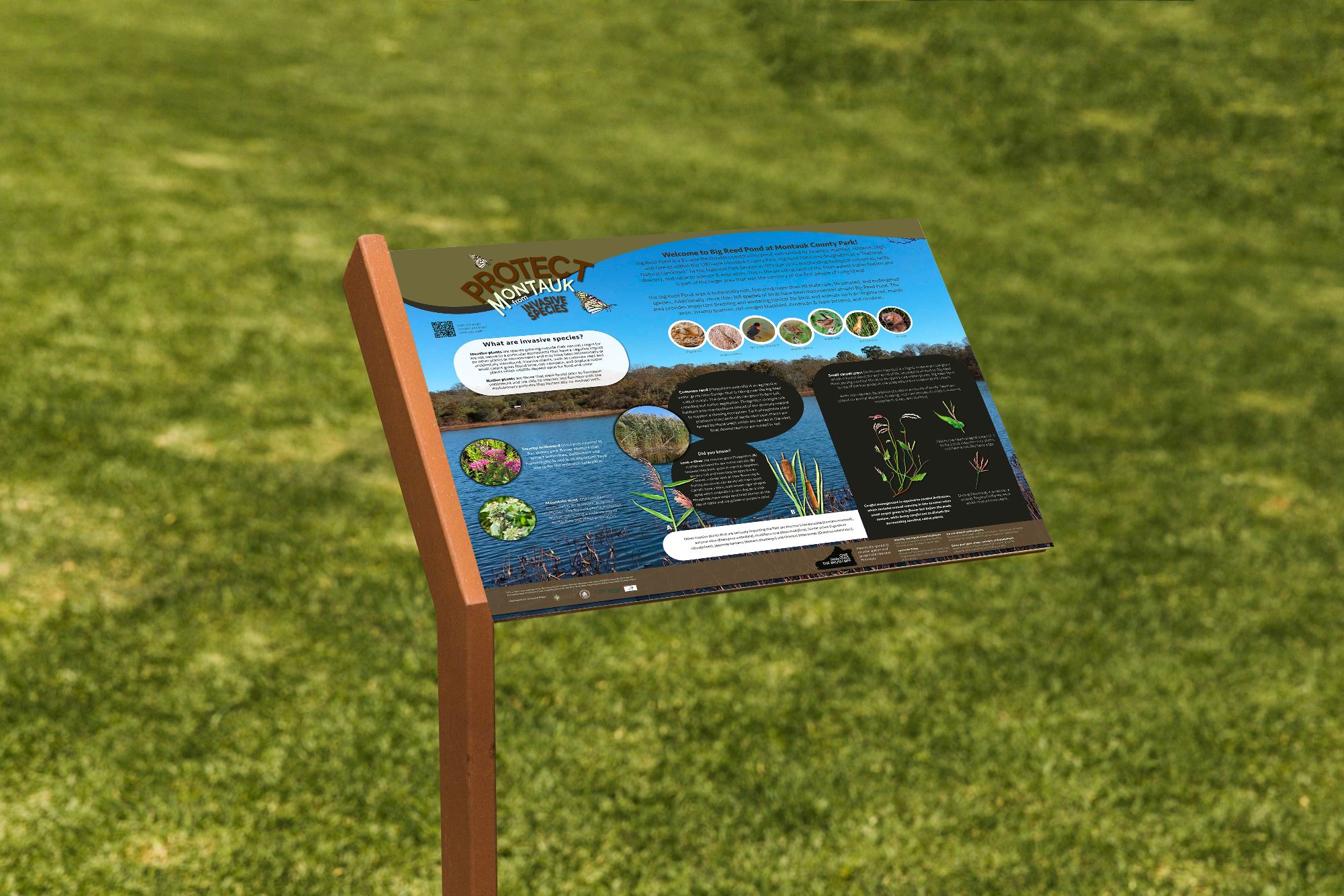 LIISMA: Interpretive Sign & Annual Report