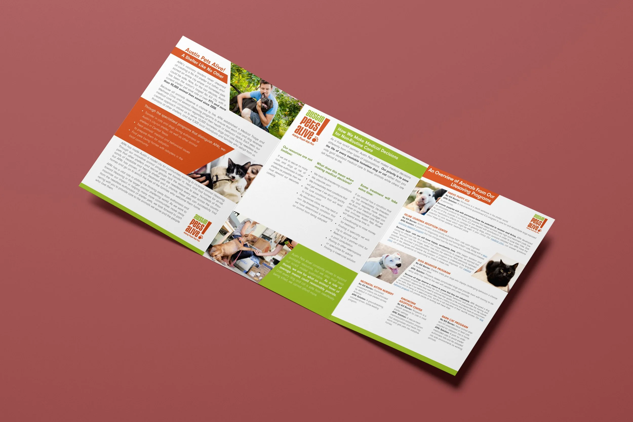 Austin Pets Alive: Advertising Design