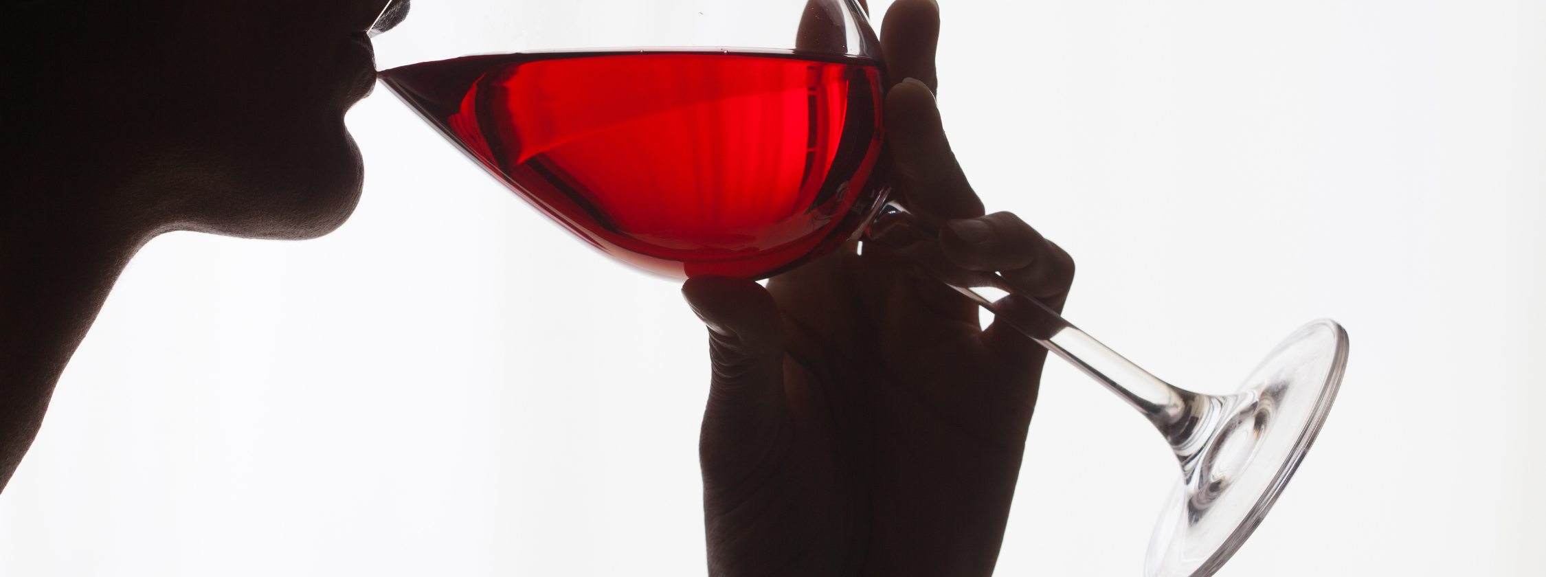Healthy Indulgences Red Wine & Dark Chocolate — my Ms.Medicine