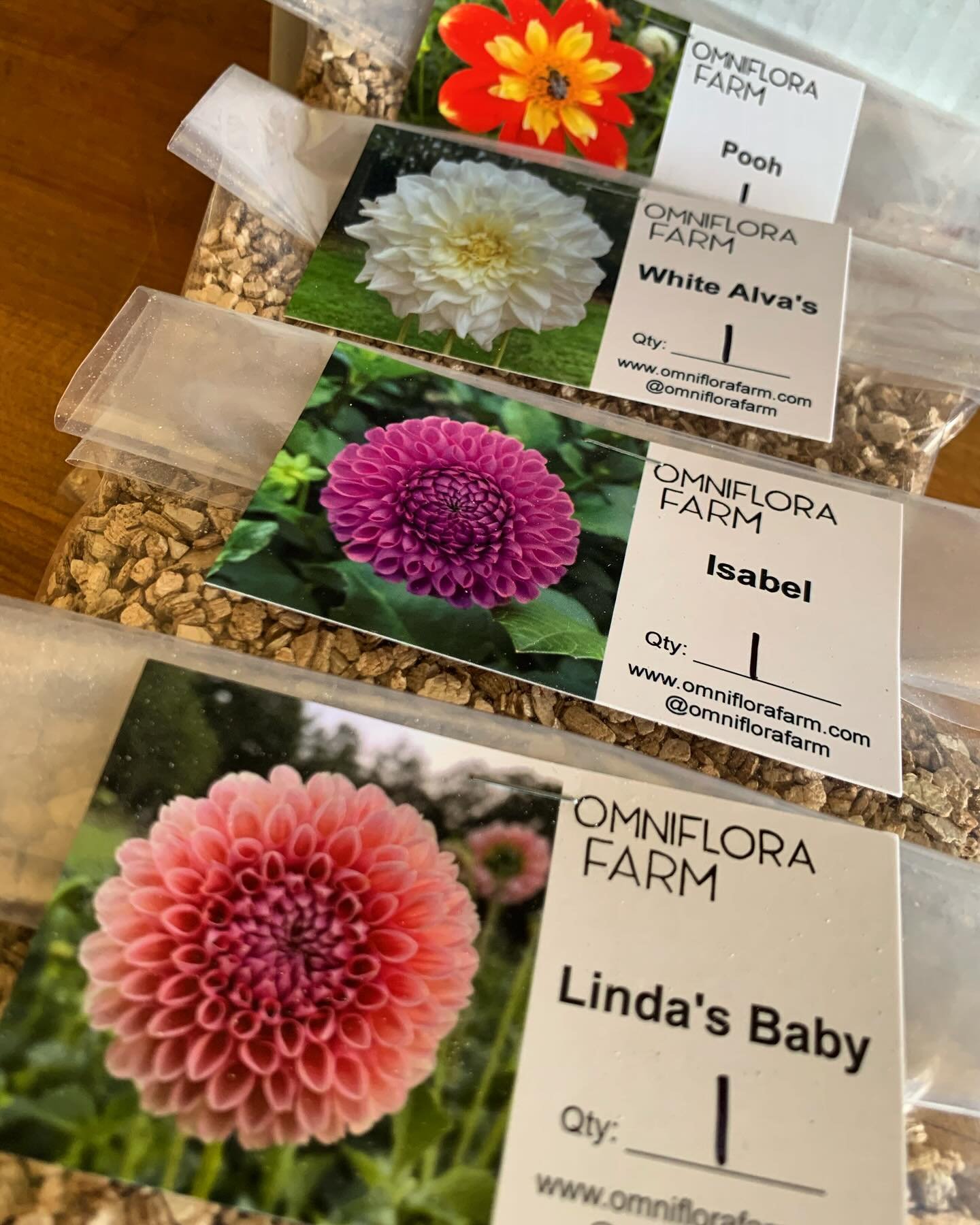 A box of therapy, exercise, and inspiration just showed up on my doorstep. 🙏🏻 @omniflorafarm #dahlia #floralinspiration