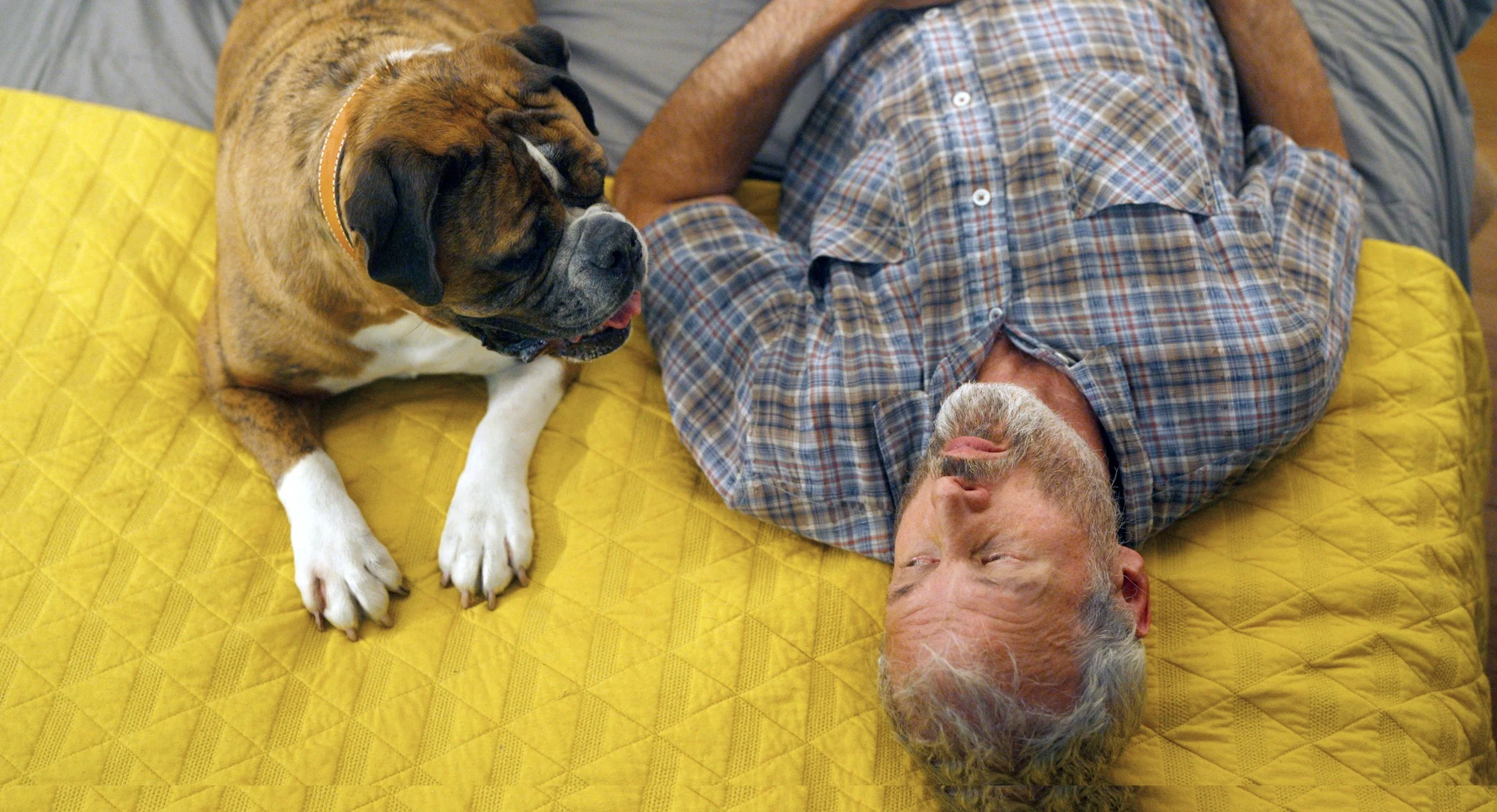 Cuddles-Bob 1.jpeg