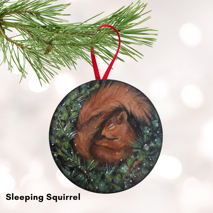 Sleeping Squirrel.png