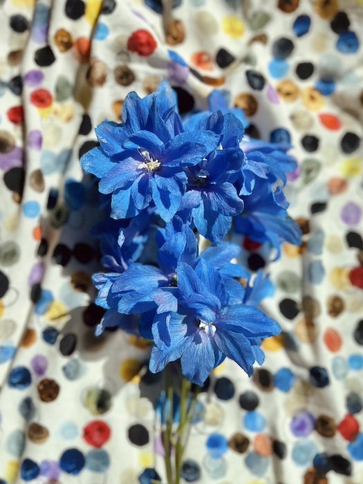 Superbloom-Blue-Bird-Delphinium-Kerry-Simmons-pattern.jpeg