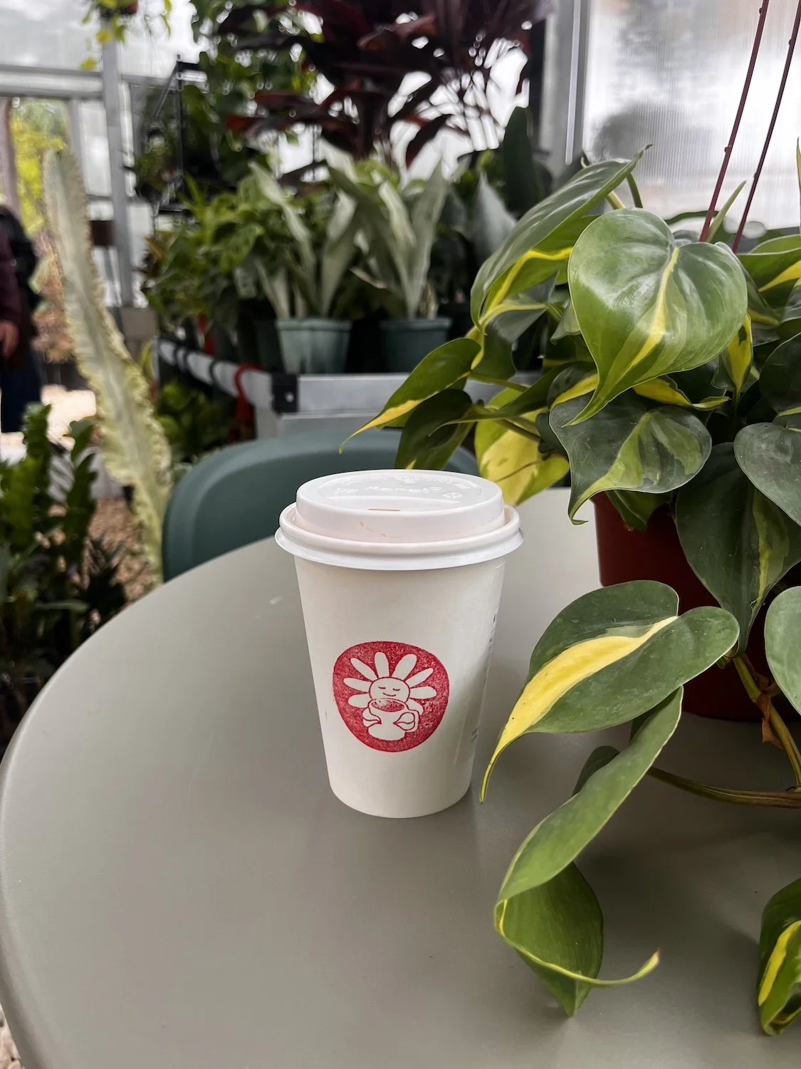 Superbloom-Flower-Weekend-LA-Creatures-Plants-Coffee-3.jpeg