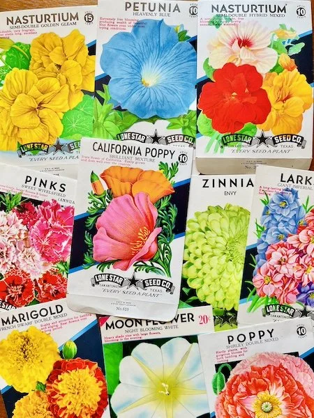 Superbloom-vintage-seed-packets.jpeg