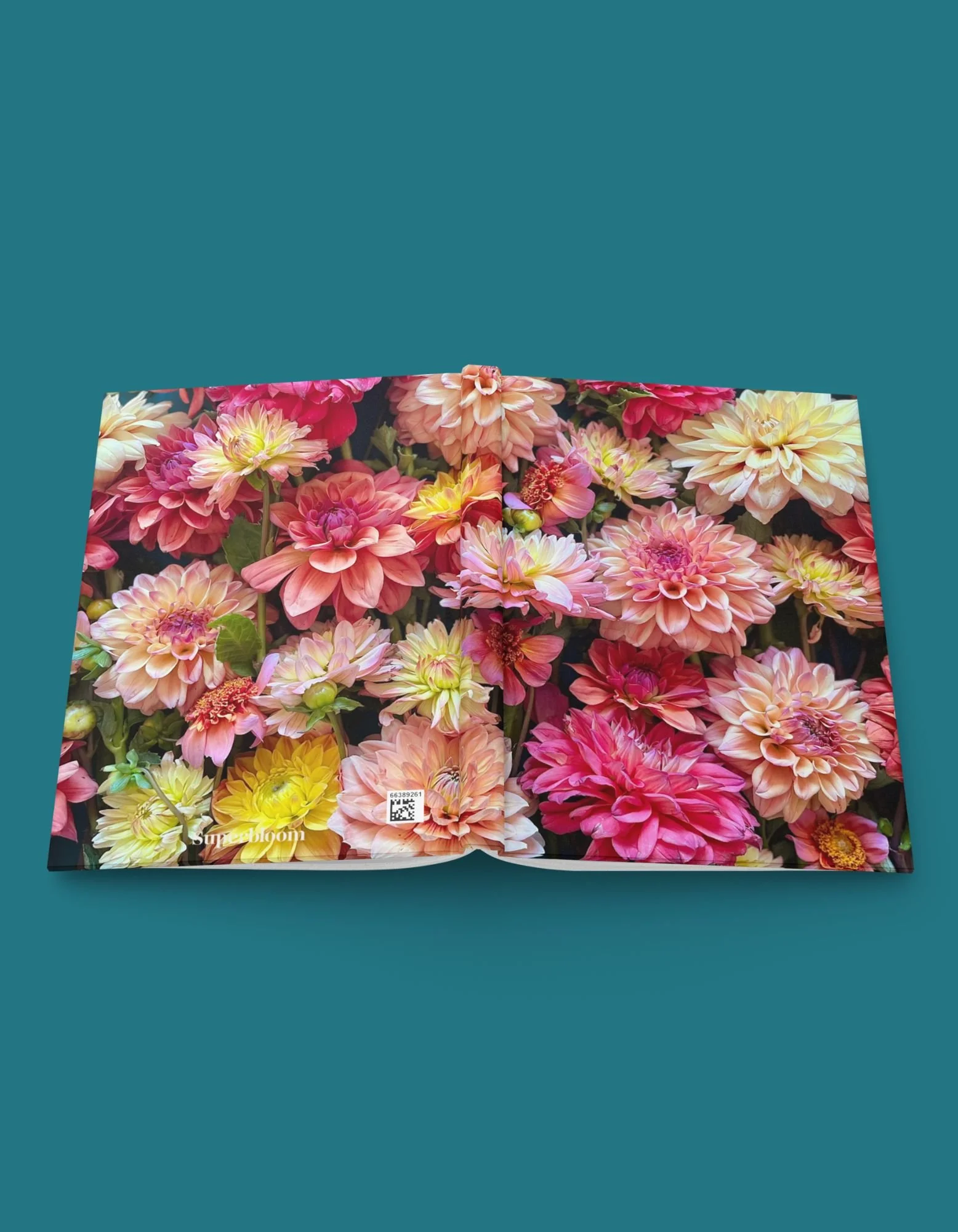 Sun Shower Hardcover Journal wrap teal.jpg