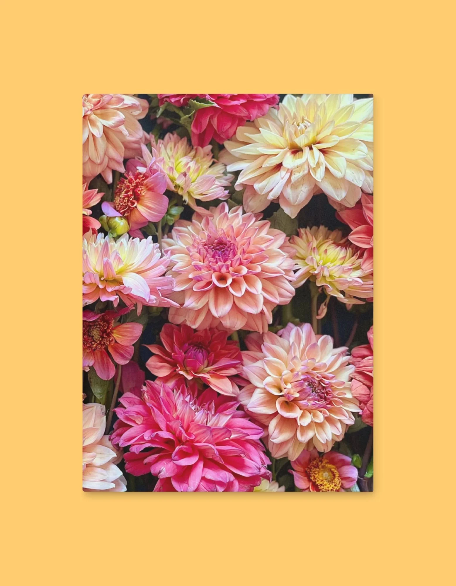 Sun Shower Hardcover Journal front yellow.jpg