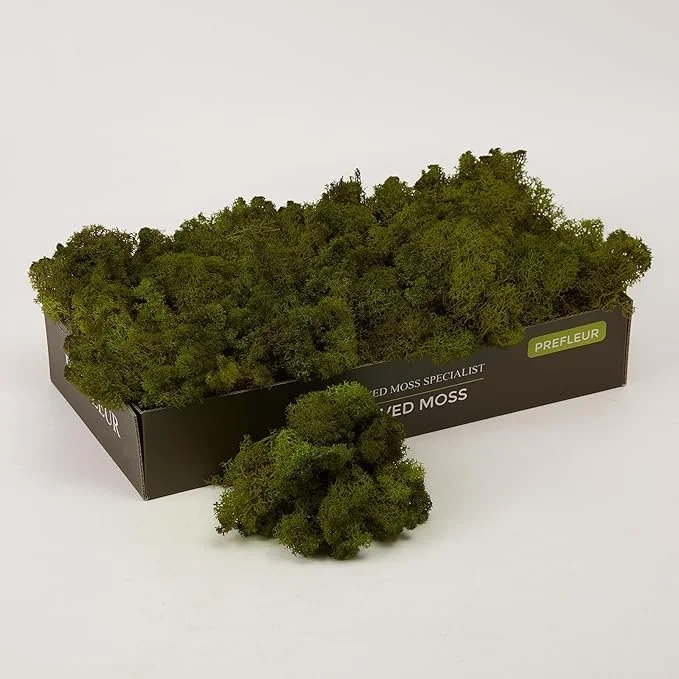 Moss.jpg
