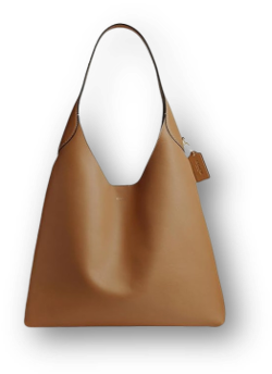 Bag.png