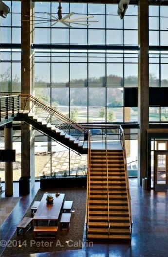 WM_7.jpg