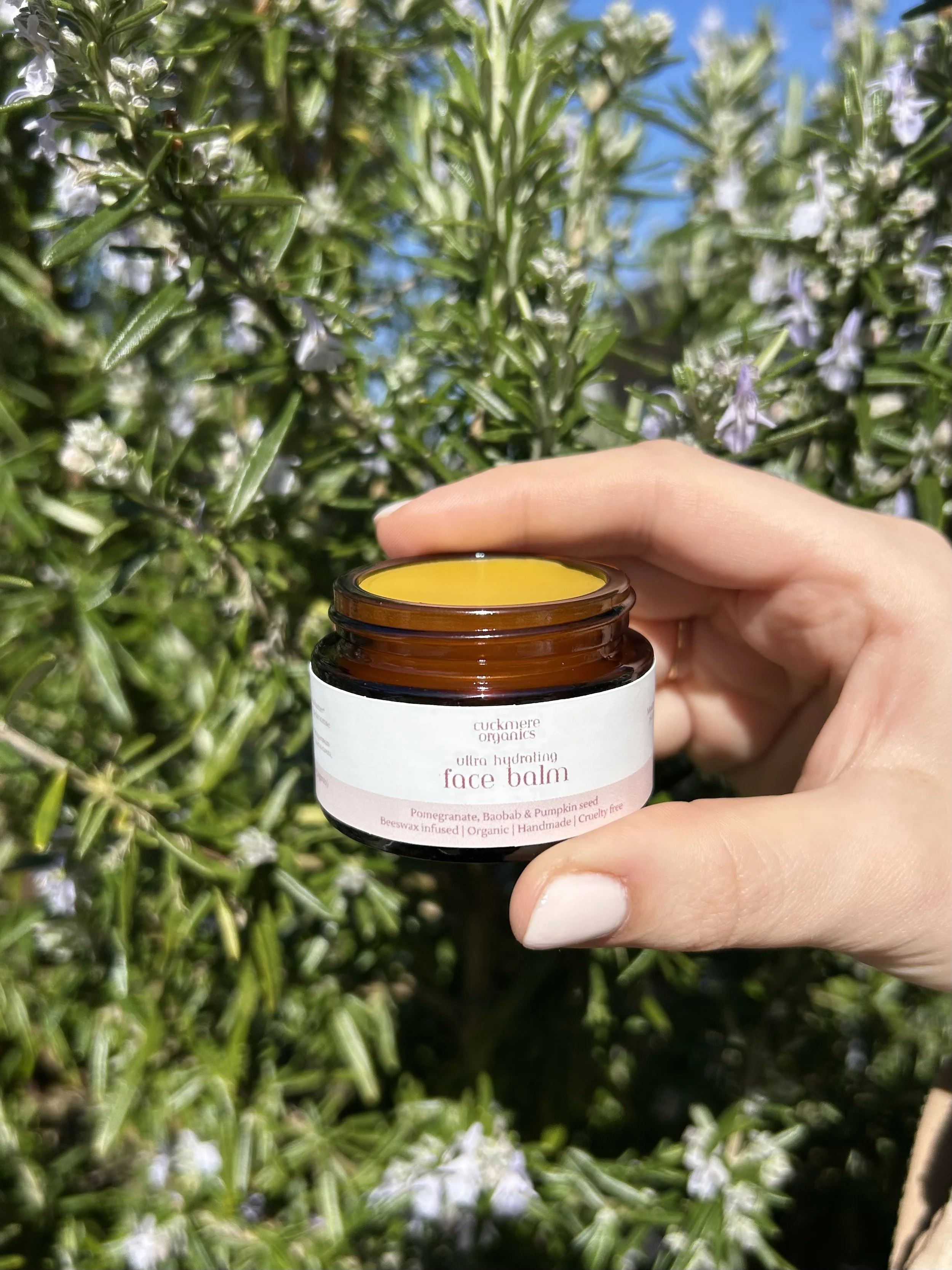 Cuckmere Organics Replenishing Face Balm held against flowering rosemary