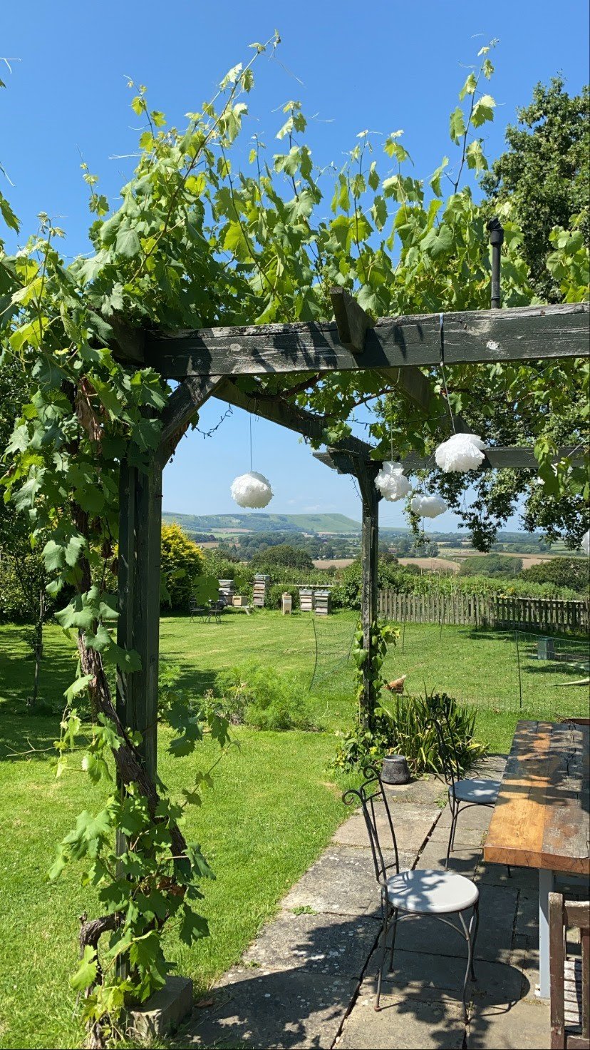 Cuckmere Organics beehives in the East Sussex countryside