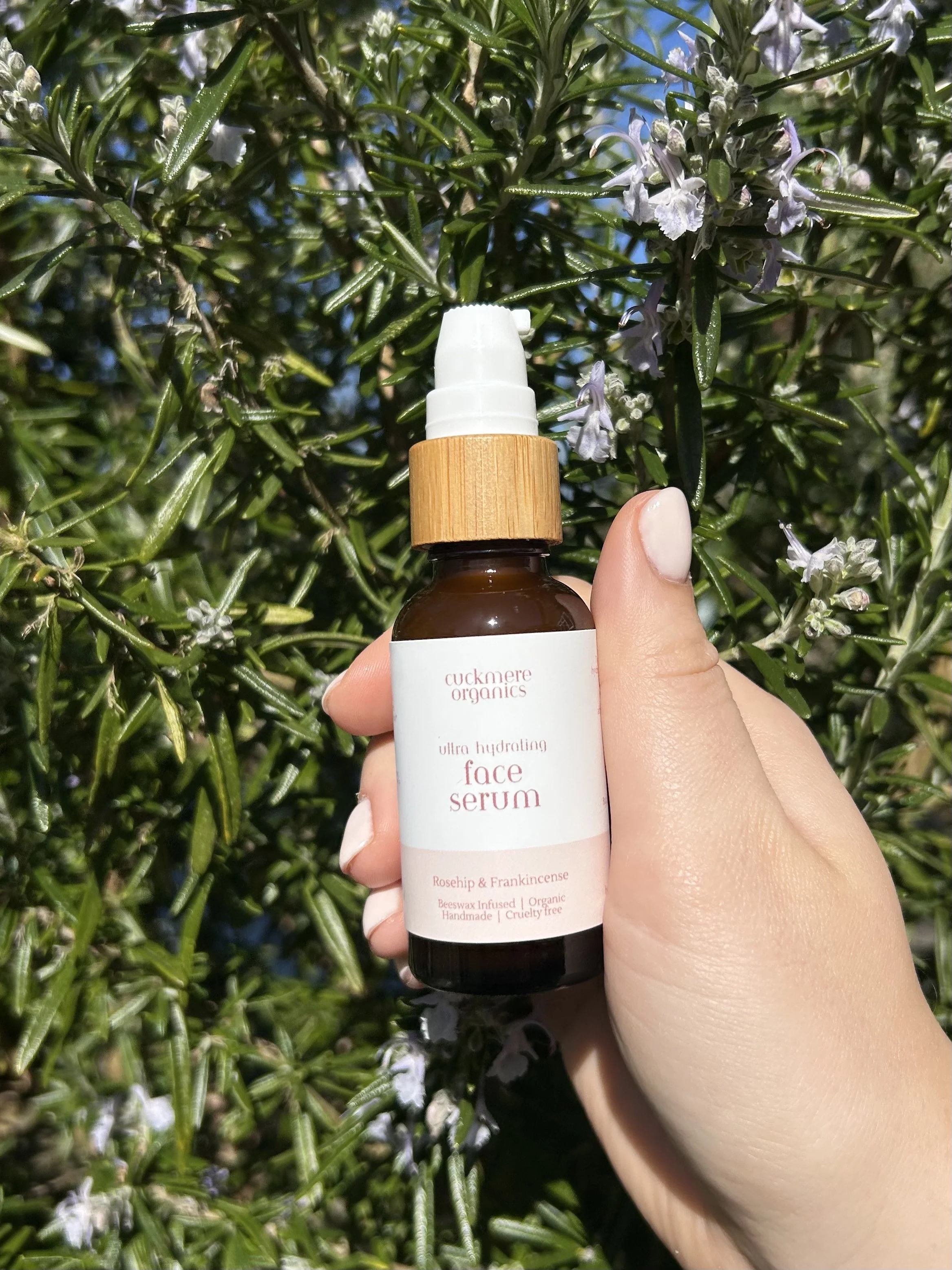 Cuckmere Organics Cell Renewal Face Serum held against flowering rosemary