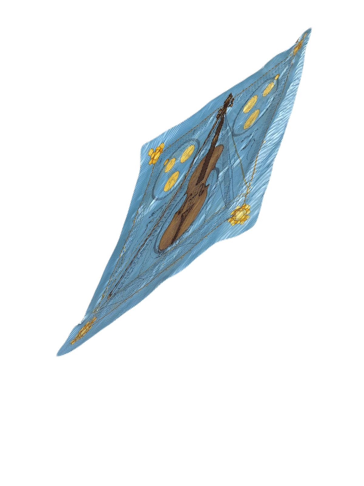 IMG_8805.png