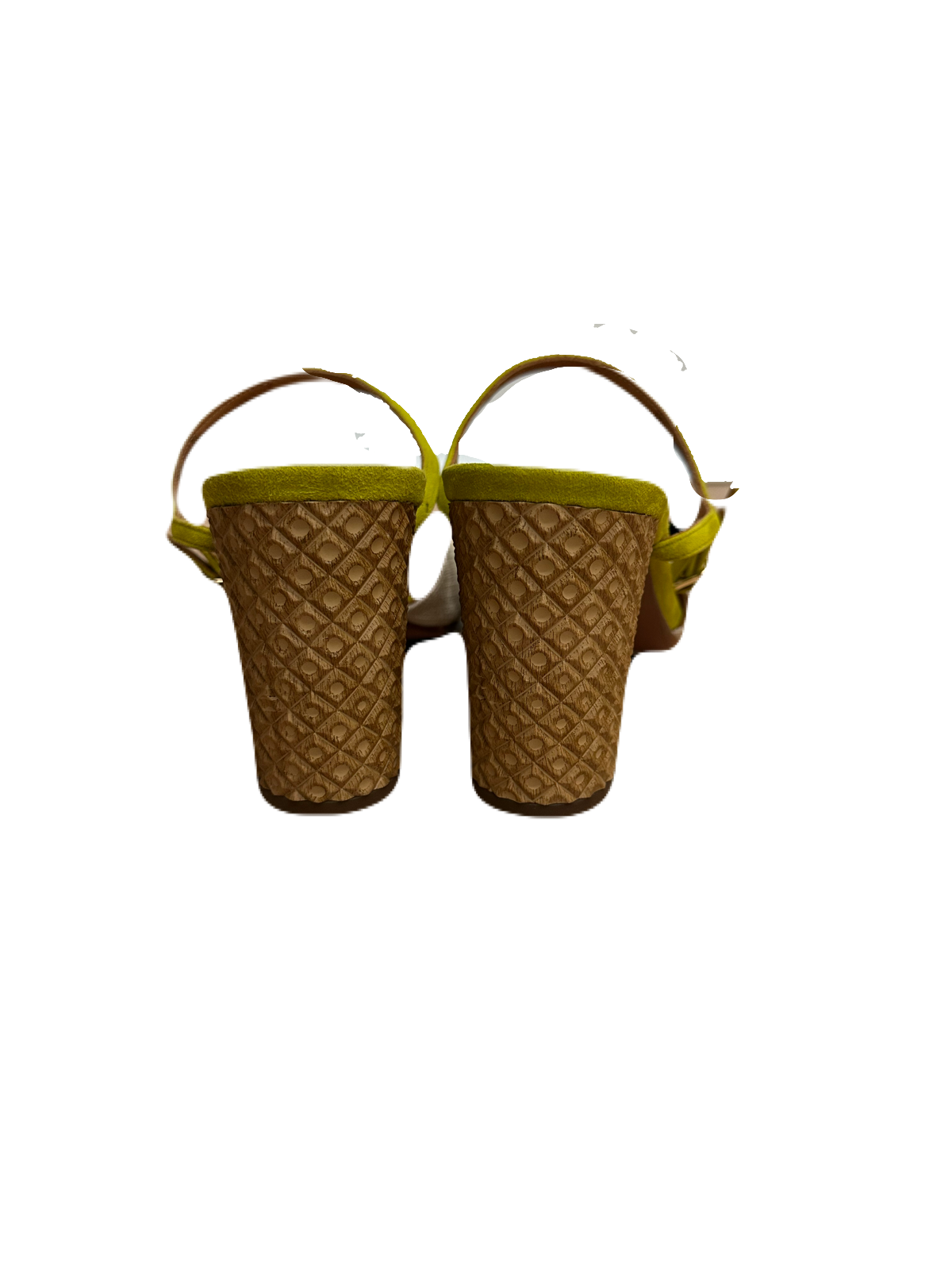 IMG_7236.png