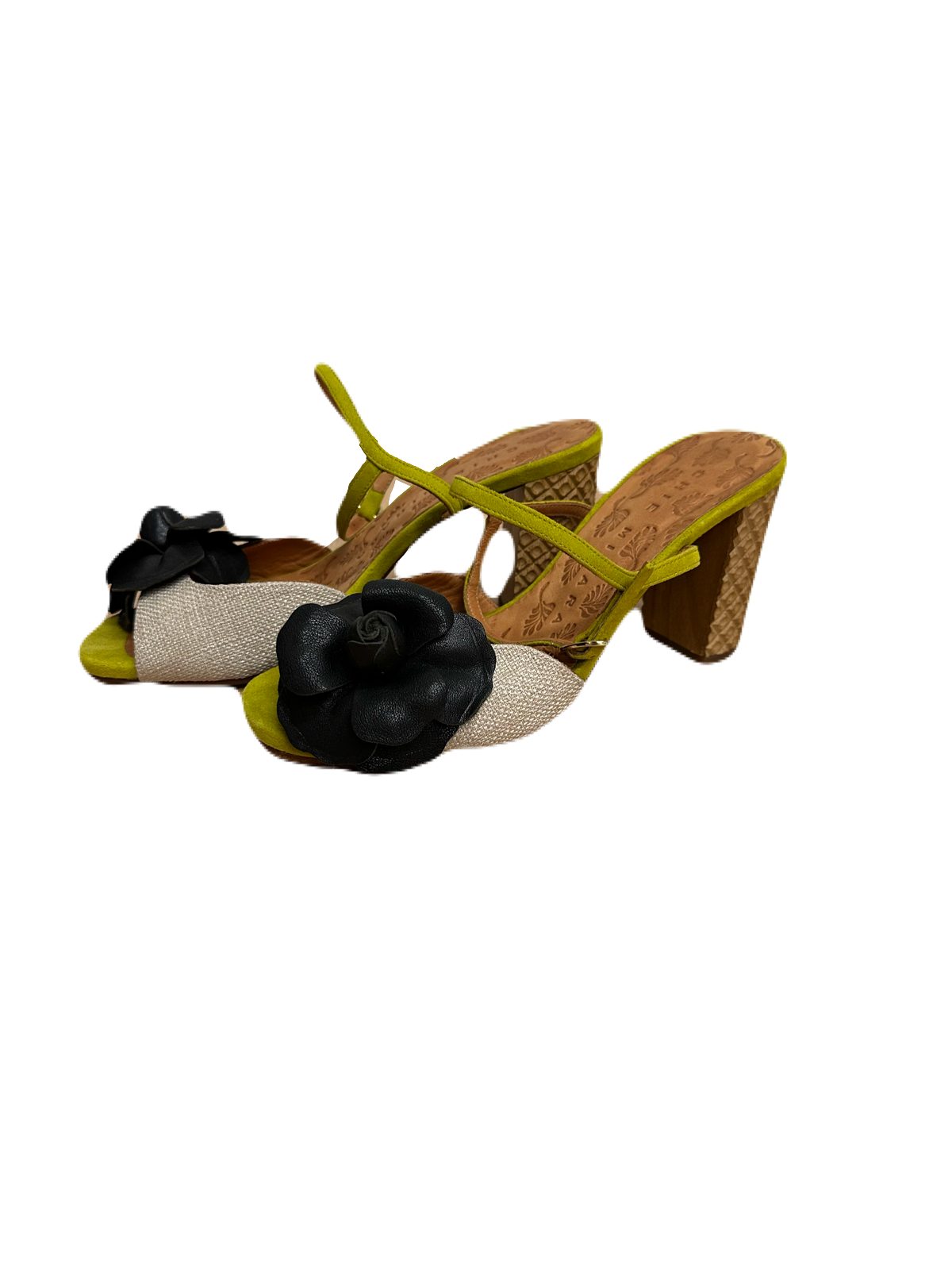 IMG_7237.png